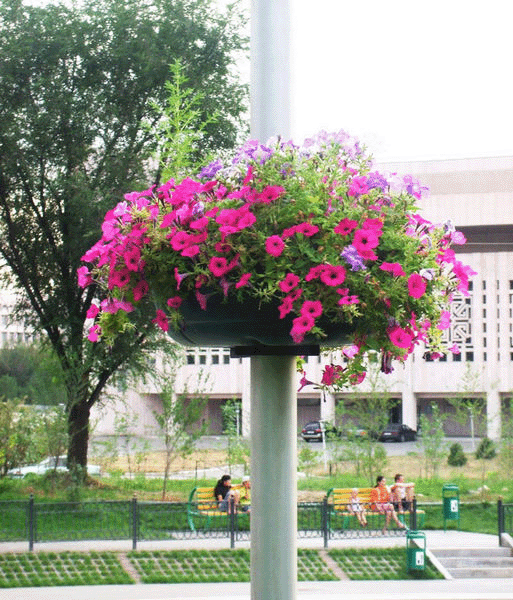 ОБРУЧ 840,  вазон для цветов на столб, кашпо для столба с термочашами для вертикального озеленения   от производителя: завод городской уличной мебели Lora-Park