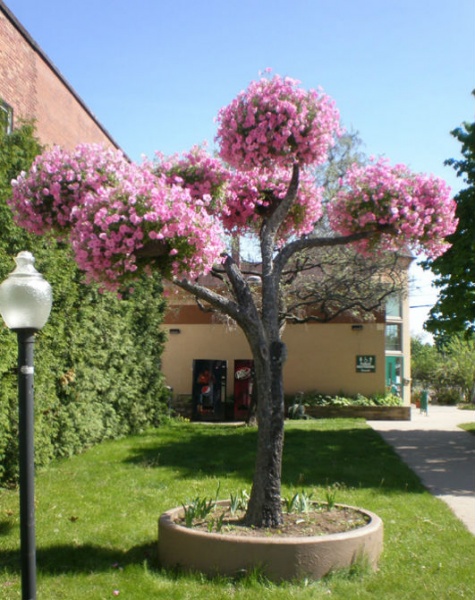 КЛЕН, цветочница вертикальная с имитацией коры дерева с термо-чашами