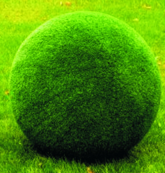 ШАР, каркас топиарной фигуры с искусственным озеленением